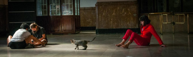 Platform Istanbul 2013, Performance in Hayderpasa, Photographer Jürgen Fritz